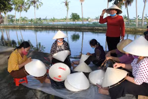 Người dân ở xã Trường Sơn, huyện Nông Cống (Thanh Hóa) phát triển nghề đan nón lá.