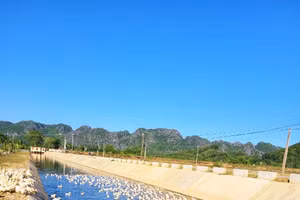 Một học sinh lớp 5 ở Thanh Hóa đuối nước thương tâm