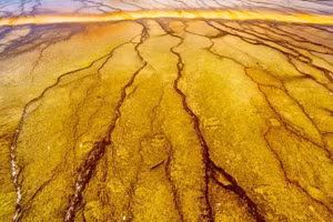 Dưới bề mặt Trái đất có những vi sinh vật - hậu duệ của các dạng sống cổ đại.