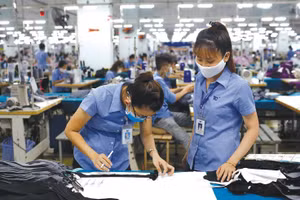 Theo đề xuất, tất cả các doanh nghiệp nên được giảm 30% thuế thu nhập doanh nghiệp. Ảnh minh họa 