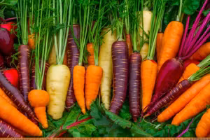 Cà rốt có màu cam vì một cuộc cách mạng Hà Lan?