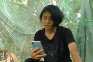 Veveonah học trên cây để có chất lượng Internet tốt hơn.