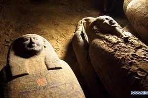 Các quan tài gỗ được bảo quản gần như nguyên vẹn dù đã trải qua 2.500 năm.