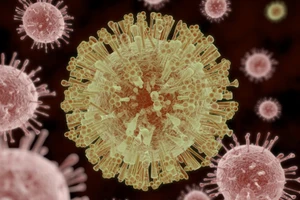 Thuốc chống virus từ… đường