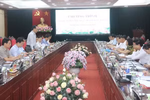 Quang cảnh buổi làm việc.