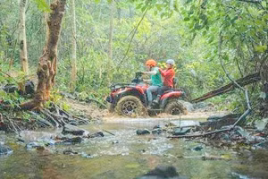 Tour du lịch khám phá rừng Lim ngôi nhà của Kong tại Quảng Bình sắp khởi động. (Ảnh: Oxalis cung cấp).
