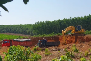 "Đất tặc" ngang nhiên hoành hành tại địa bàn xã Linh Trường, huyện Gio Linh.