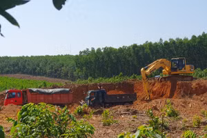 "Đất tặc" ngang nhiên hoành hành tại địa bàn xã Linh Trường, huyện Gio Linh.