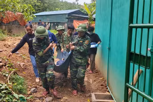 Lực lượng chức năng di dời 7 cá thể hổ đến khu vực nuôi mới.