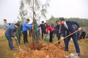 Quảng Trị tổ chức trồng cây tại Khu di tích thành Tân Sở. (Ảnh: Đ. Đức).