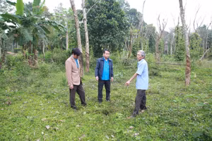 Người dân bức xúc khi phát hiện nhiều cọc GPMB bị dịch chuyển.