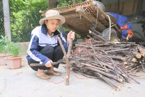 Đủ điều kiện vào trường Đại học, nhưng Nhàn vẫn ngập ngừng vì hoàn cảnh khó khăn. 