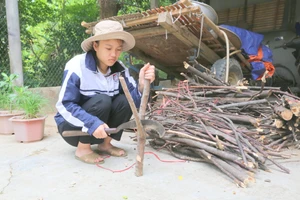 Đủ điều kiện vào trường Đại học, nhưng Nhàn vẫn ngập ngừng vì hoàn cảnh khó khăn. 