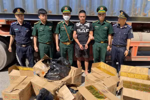 Lực lượng chức năng Quảng Bình bắt giữ lượng lớn pháo lậu.