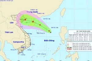 Dự báo ngày 1/8, vị trí tâm bão khu vực đảo Hải Nam, sức gió mạnh cấp 8, gật cấp 10