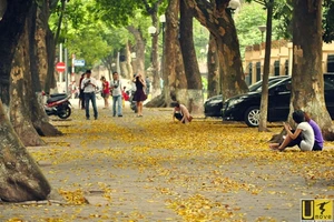 Mùa thu cảnh lá vàng rơi, cành khô lá úa... lòng người hay thương cảm, man mác buồn… dễ rơi vào trạng thái trầm cảm