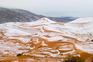 Tuyết rơi trên sa mạc Sahara sau gần 40 năm