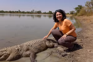 Cá sấu cũng thân thiện với du khách.