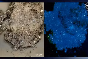 Phân tích ban đầu cho thấy, một số nguyên tố khác nhau có trong mẫu tiểu hành tinh Bennu.