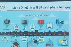 Biểu đồ thể hiện lịch sử ngành giải trí và vi phạm bản quyền được cung cấp bởi ông Nguyễn Ngọc Hân, Tổng Giám đốc Công ty Thủ Đô Multimedia. Ảnh: Bình Thanh.