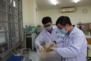 Sinh viên Trường Đại học Bách khoa, Đại học Quốc gia TPHCM nghiên cứu khoa học. Ảnh: Mạnh Tùng