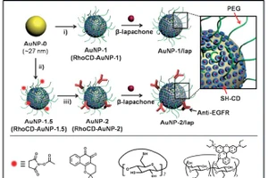 Cơ chế dẫn thuốc của AuNPs/CD-SH.5