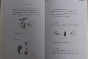 Trò chơi 'Con quay' được mô tả chi tiết cùng nhiều hình vẽ minh họa sinh động. Ảnh: Anh Sơn.