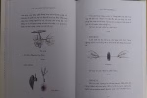 Trò chơi 'Con quay' được mô tả chi tiết cùng nhiều hình vẽ minh họa sinh động. Ảnh: Anh Sơn.