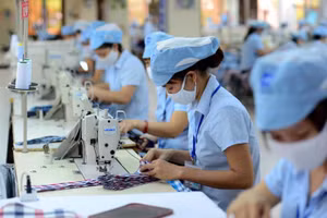 Nhiều ý kiến cho rằng việc thay đổi chính sách BHXH một lần đang tác động lớn đến cả doanh nghiệp và người lao động.