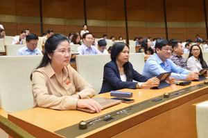 Luật Bình đẳng giới năm 2006 quy định rõ, bình đẳng giới trong lĩnh vực chính trị là nam, nữ bình đẳng trong tham gia quản lý Nhà nước, tham gia hoạt động xã hội. Ảnh minh hoạ 