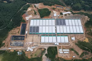 Trang trại lợn của Công ty Cổ phần đầu tư nông nghiệp Agri-Vina nằm trên địa bàn xã Tân Phúc, huyện Lang Chánh.