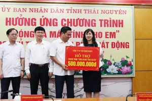 Phó Tổng Giám đốc Trần Thị Thu Thủy - đại diện Danko Group hưởng ứng chương trình “Sóng và máy tính cho em”