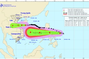 Hình ảnh mới nhất về bão số 8 và bão số 9