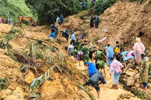 Sạt lở đất ở Quảng Nam.