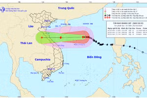 Bão số 8 - Saudel