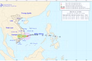 hình ảnh bão số 12