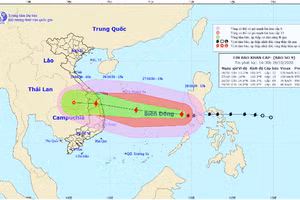 Hình ảnh bão số 9 - Molave