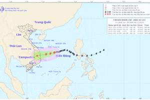 Đường đi của bão số 10.