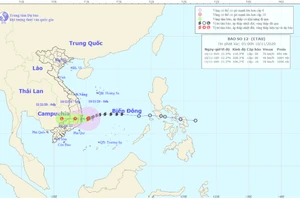 hình ảnh bão số 12