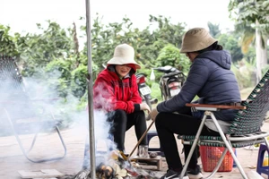 Miền Bắc rét đậm, rét hại, vùng núi nhiều nơi có khả năng xuất hiện băng giá