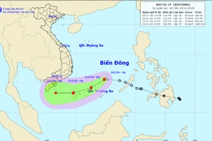 Áp thấp nhiệt đới mạnh lên thành bão, sức gió giật cấp 10