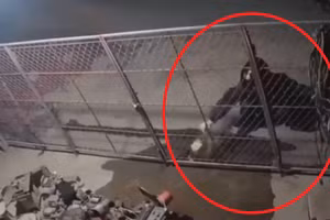 Lời khai của kẻ tưới xăng, đốt nhà hàng xóm rồi ung dung về nhà đi ngủ