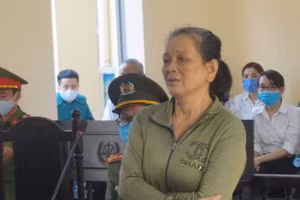 Bị cáo Nguyễn Thị Hoa.