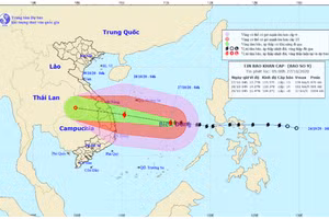 Bão số 9 - Molave