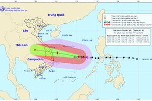 Bão số 9 - Molave