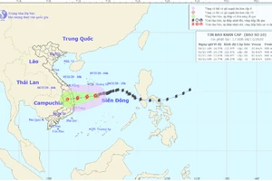 Bão số 10