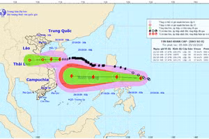 Hình ảnh mới nhất về bão số 8 và bão số 9
