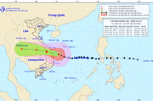 Bão số 9 - Molave