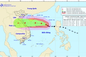 Bão số 8 đang mạnh lên, hướng về phía đảo Hoàng Sa.