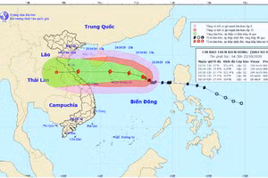 Bão số 8 đang mạnh lên, hướng về phía đảo Hoàng Sa.